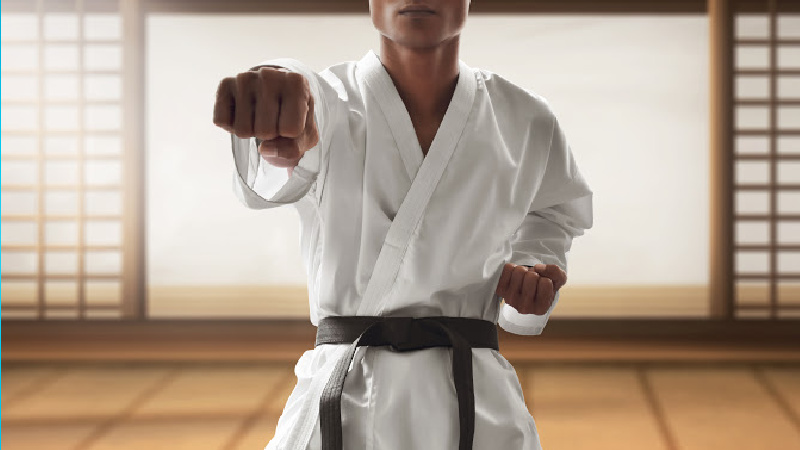 kyokushin-karate-federacija
