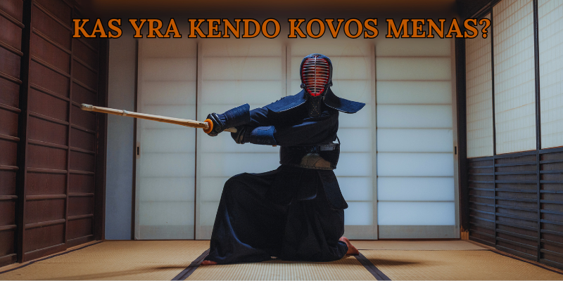 Kas yra kendo kovos menas?